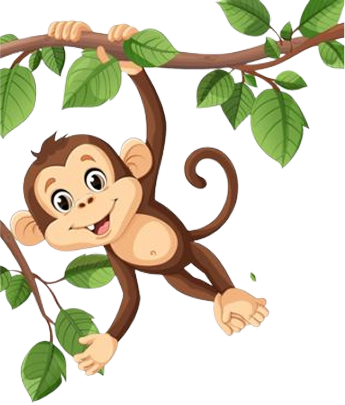 Monkey